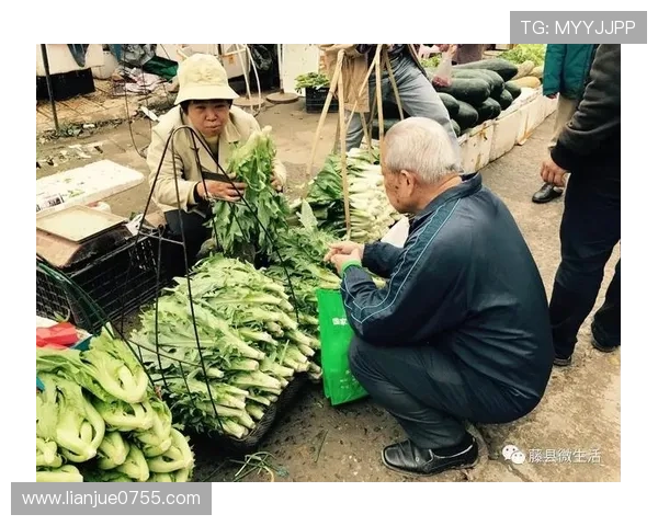 《归来的乡愁》:屏幕内外,重拾那份最真的烟火气 《归来的乡愁》:屏幕内外,重拾那份最真的烟火气